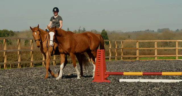 FIRST TIME PONYING A YOUNG HORSE