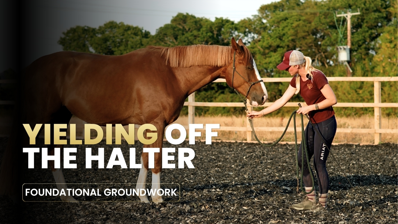 YIELDING OFF THE HALTER