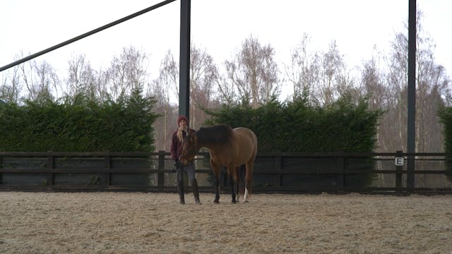 LEG YIELD ON A CIRCLE