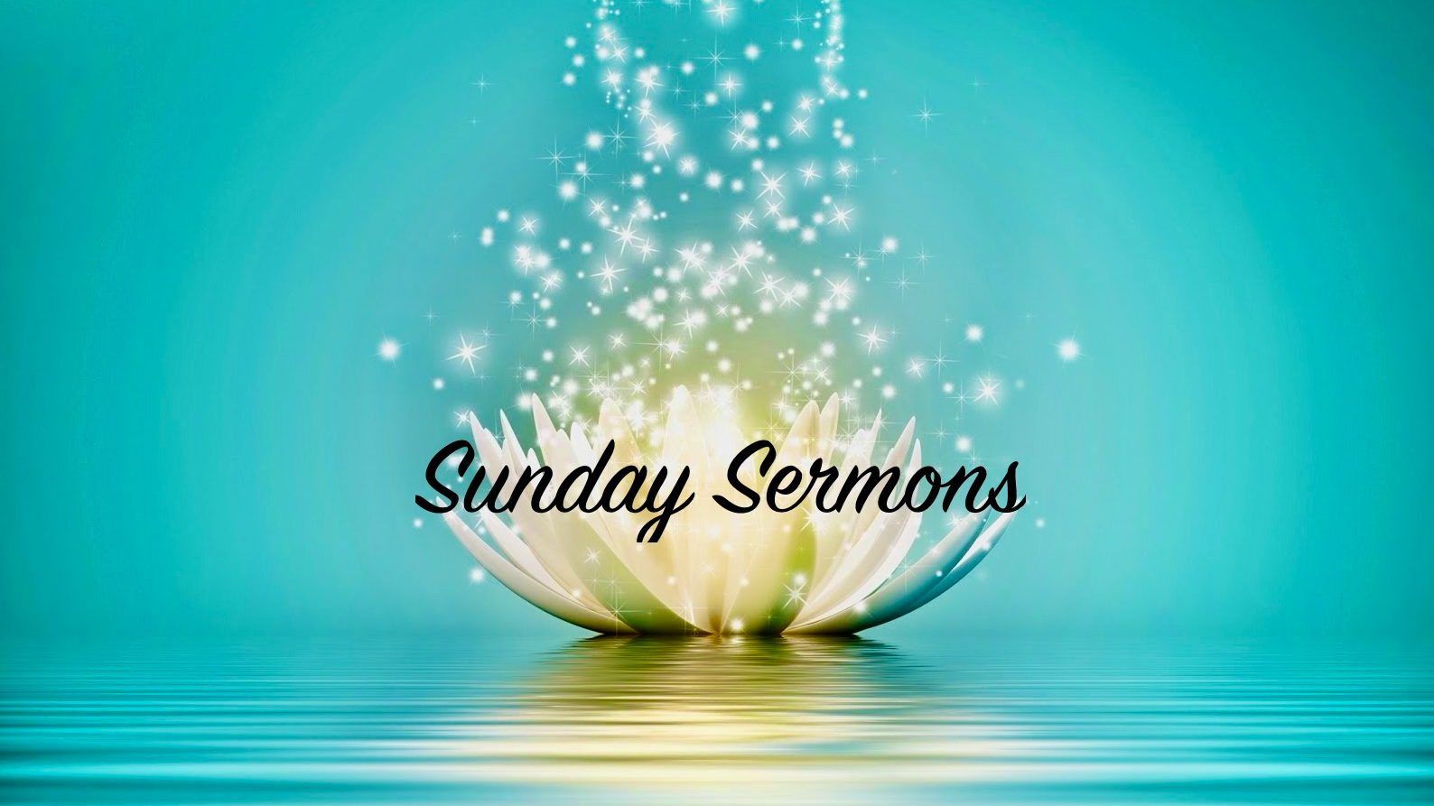 Sunday Sermon on November 10th 2024