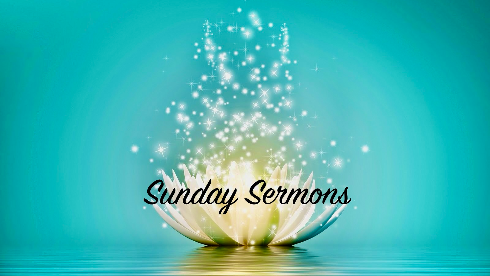 Sunday Sermon on November 17th 2024