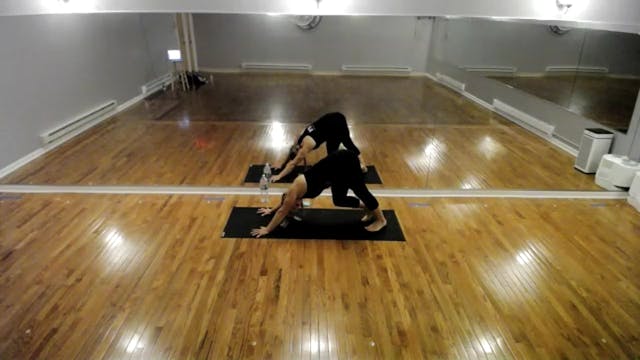 Vinyasa- Oct4