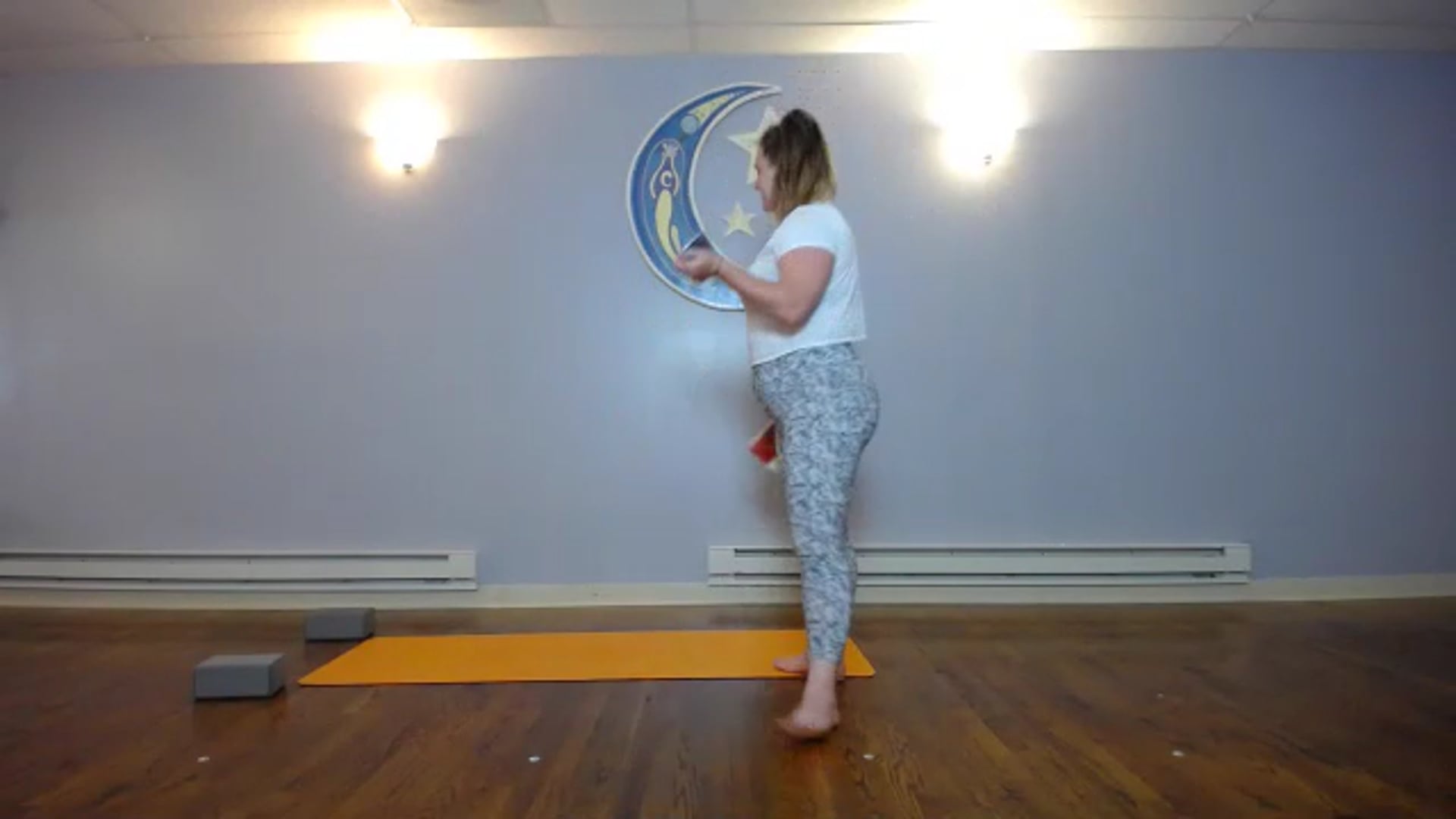 Flexibility Flow -July30