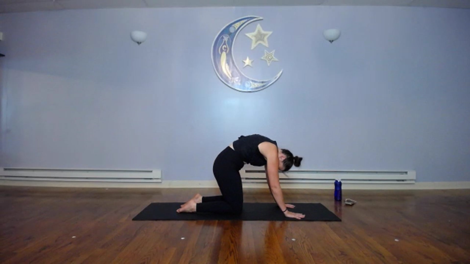 Power Flow -Aug13-2021