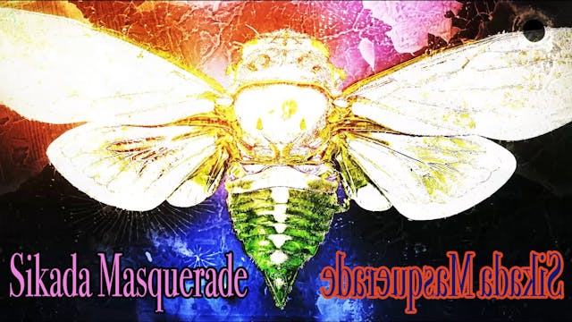 Sikada Masquerade