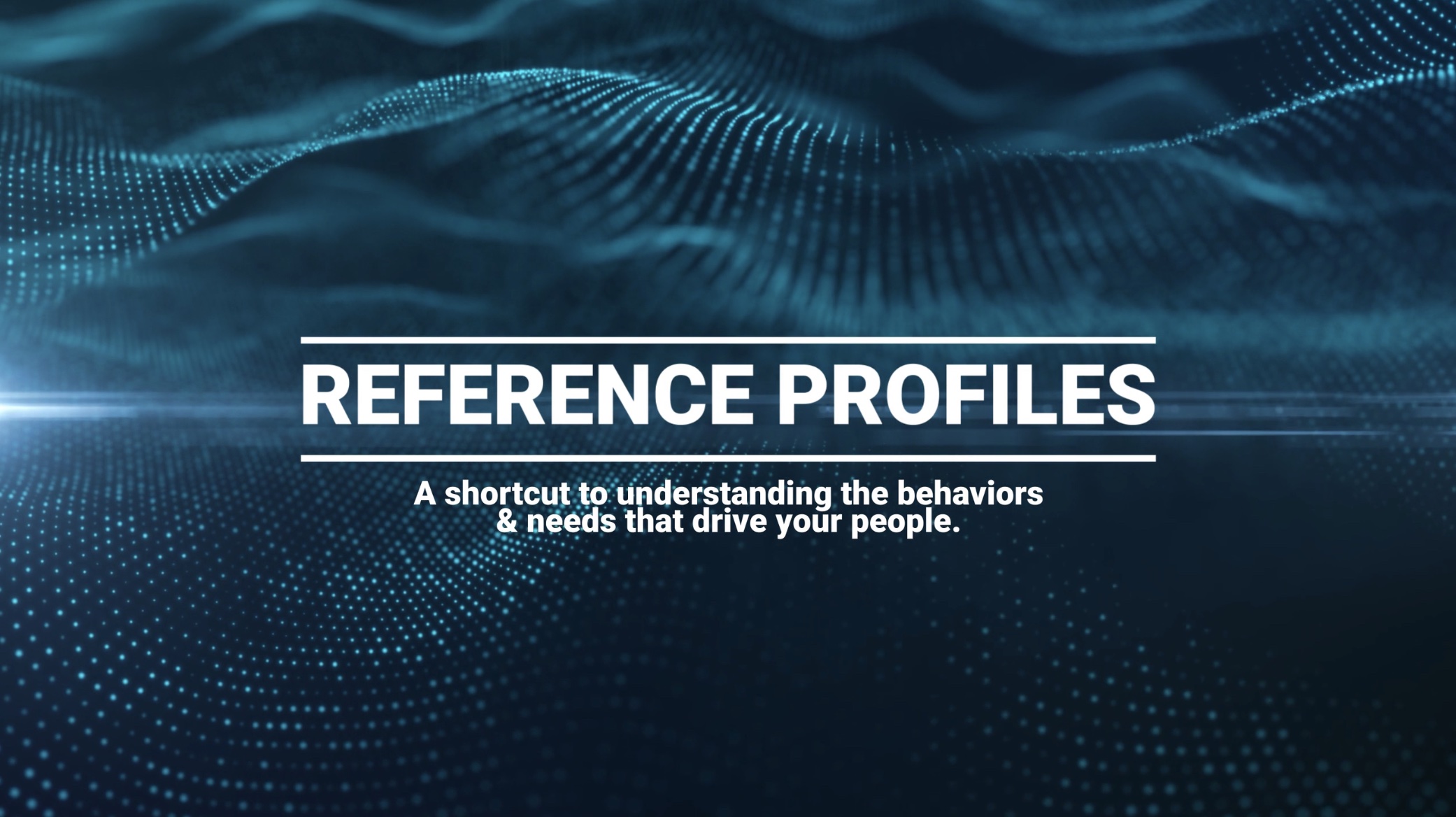 04 Reference Profiles