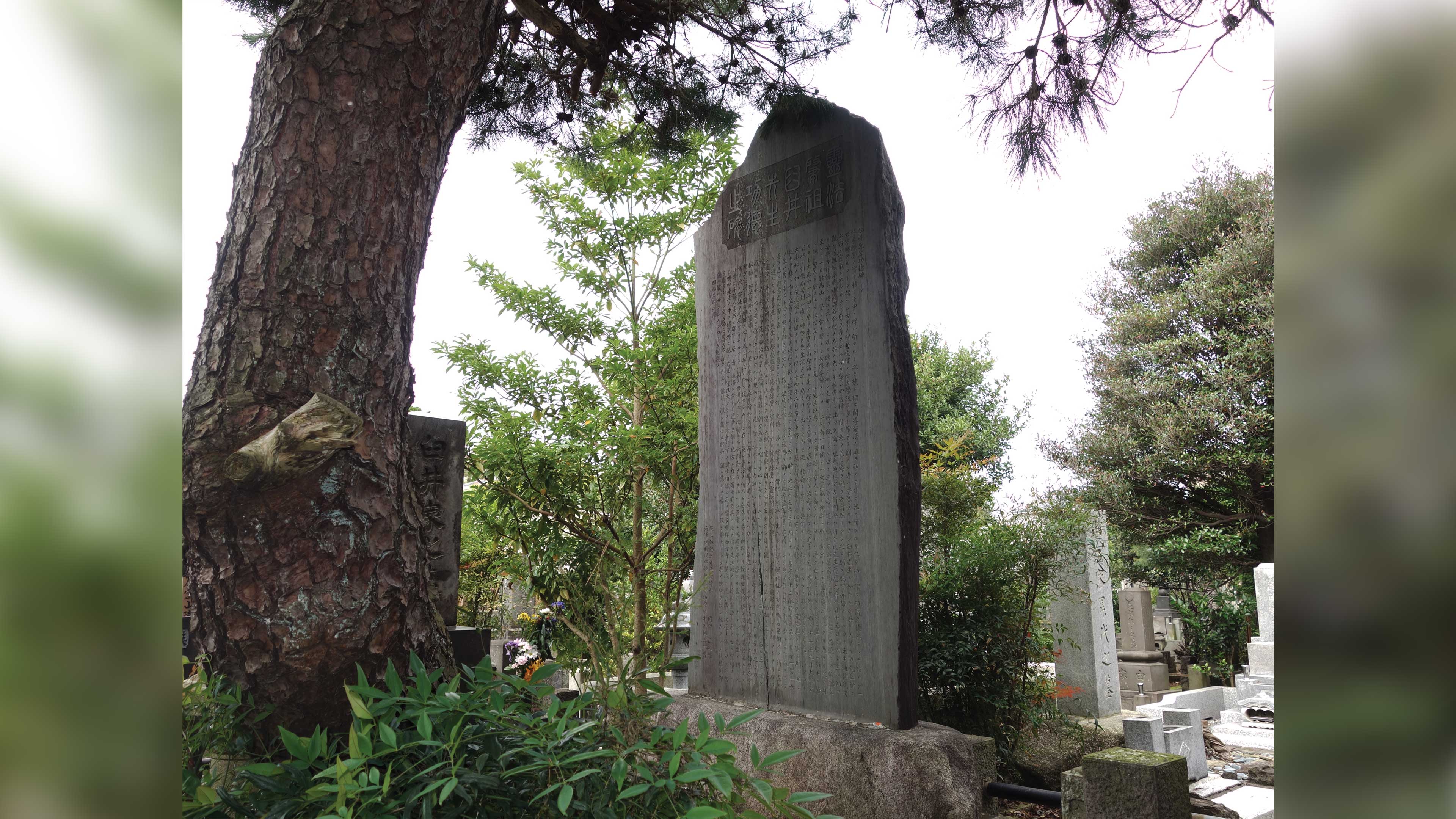 Sacred Reiki Sites of Japan