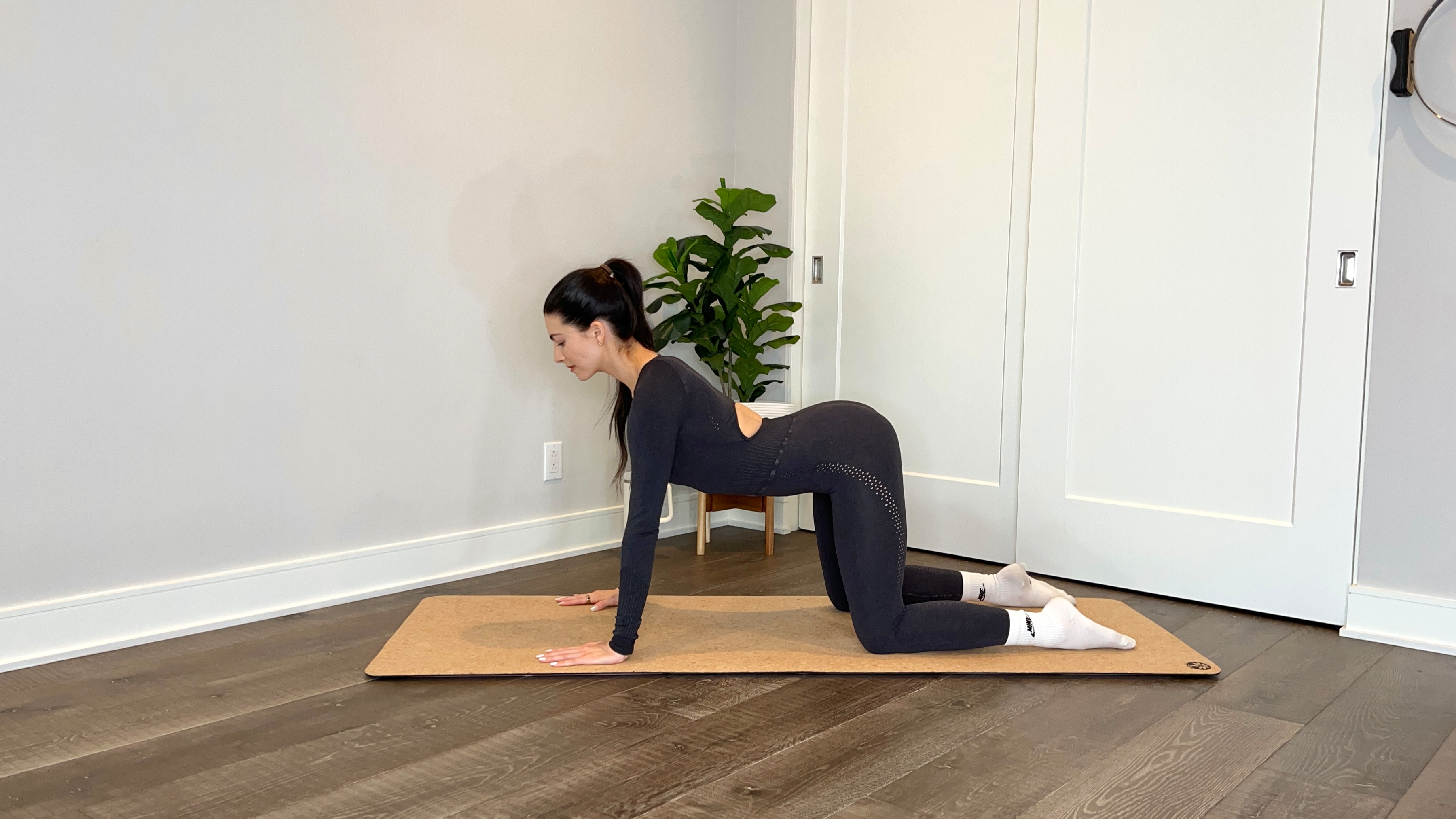 Sunday 12/21 - Morning Mobility