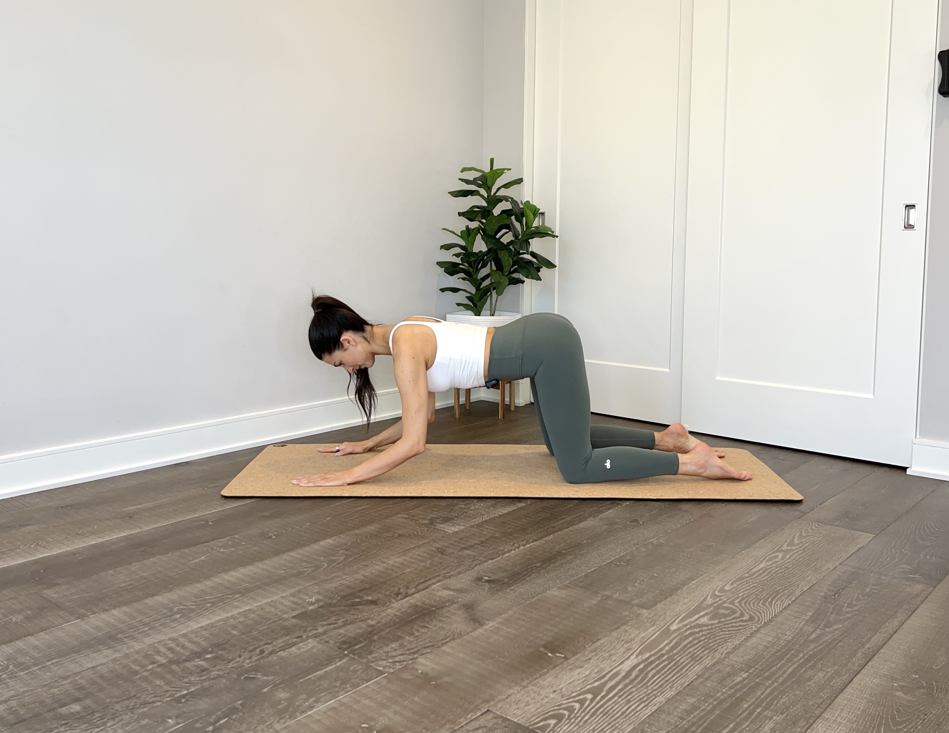 Push Up Fundamentals