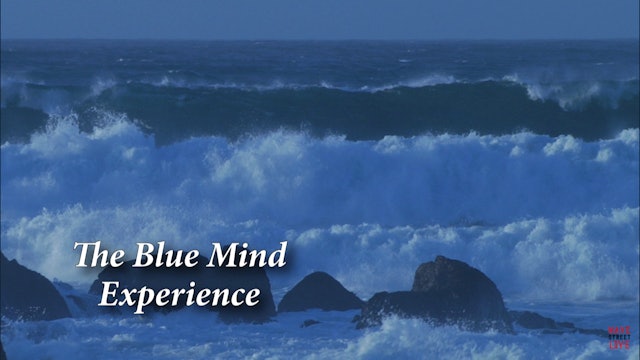 The Blue Mind Experience