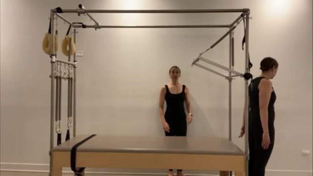 Short Spine