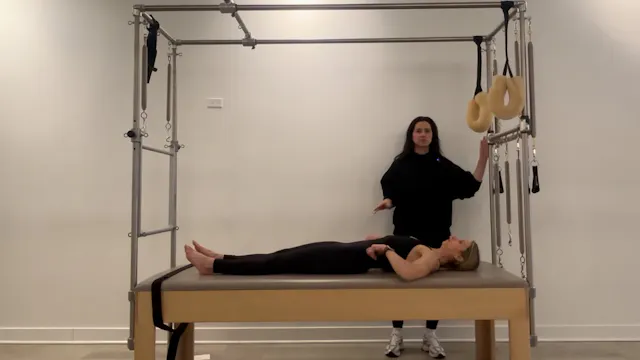 Leg Springs