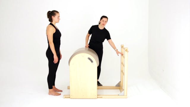 Prone Hands On Ladder (Hip Extension ...