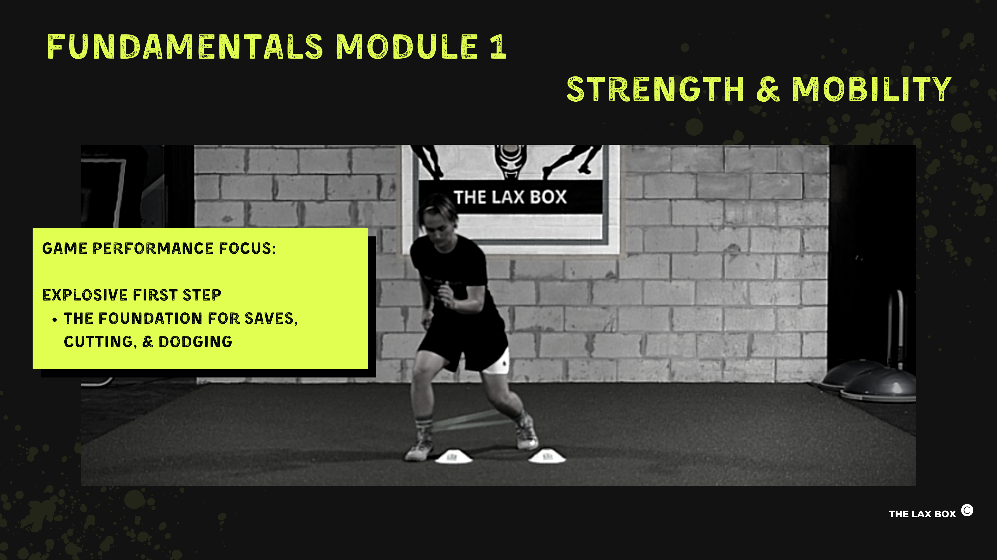 STRENGTH & MOBILITY: Fundamentals Module 1