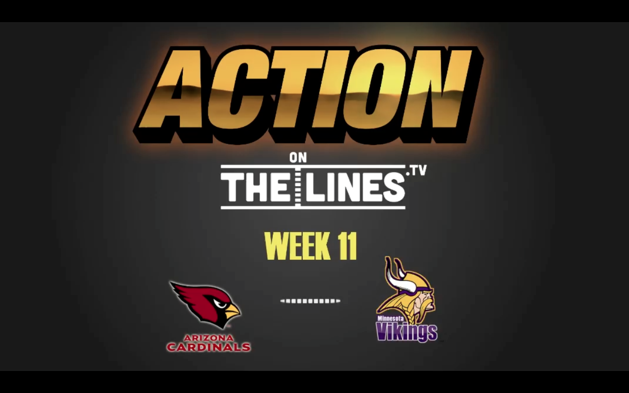 NFL- ARI vs MIN- Nov 20