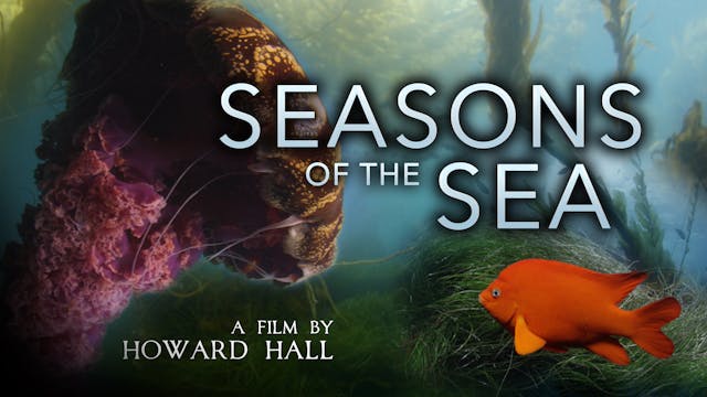 Seasons of the Sea