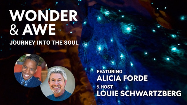 Wonder & Awe Journey Into The Soul - Alicia Forde