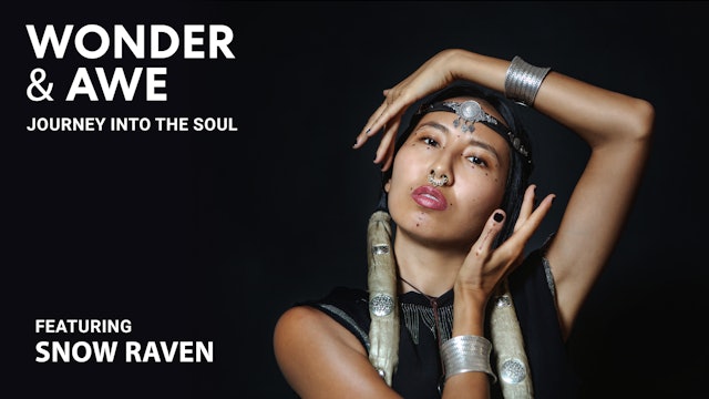 Wonder & Awe: Journey into the Soul - Snow Raven