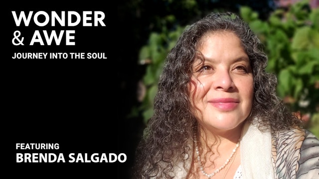 Wonder & Awe: Journey Into The Soul - Brenda Salgado