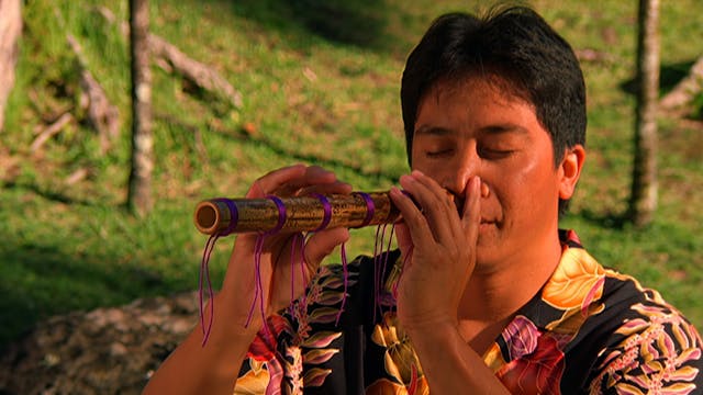 America!: "Hawaiian Nose Flute"