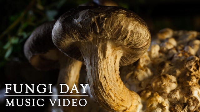 Fungi Day Inspirational Video