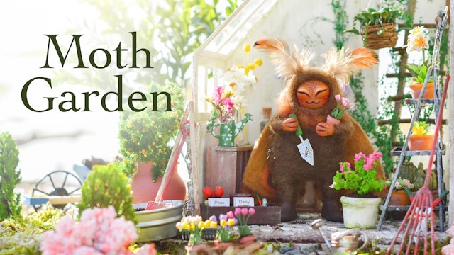 Moth Garden by Chloe Bensinger