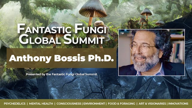 Psychedelics & Mental Health: Anthony Bossis