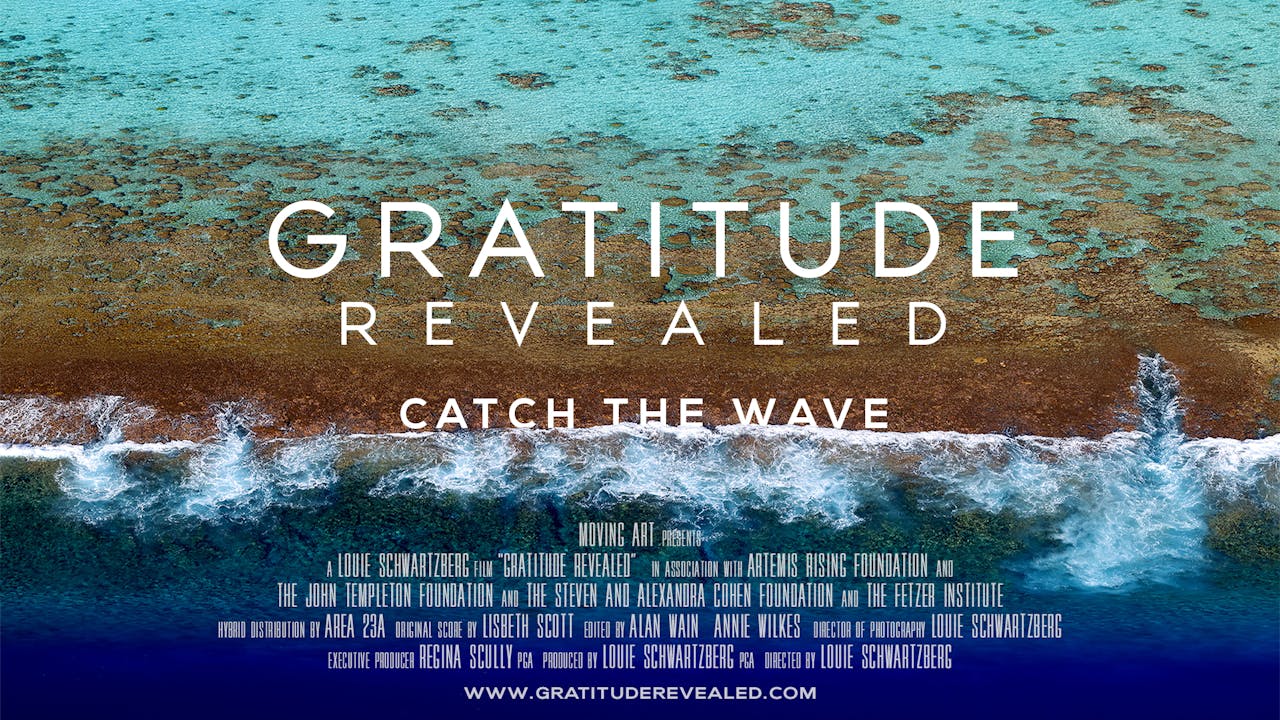 Gratitude Revealed Trailer Gratitude Revealed THE LOUIE CHANNEL