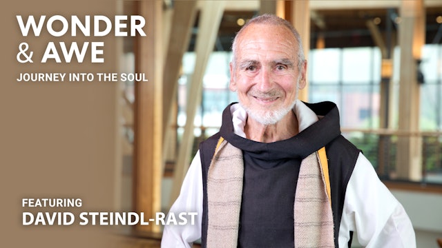 Wonder & Awe: Journey Into The Soul - Brother David Steindl-Rast