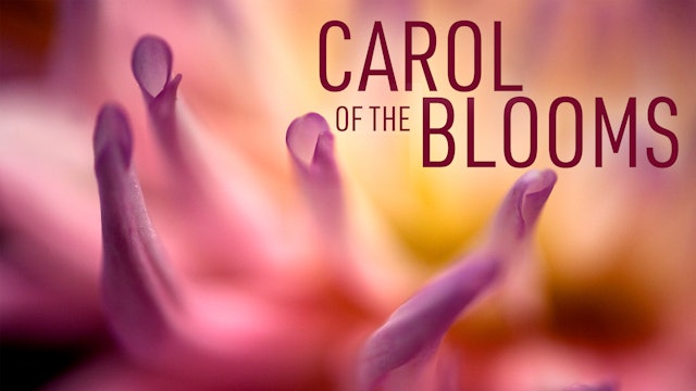 Carol of the Blooms