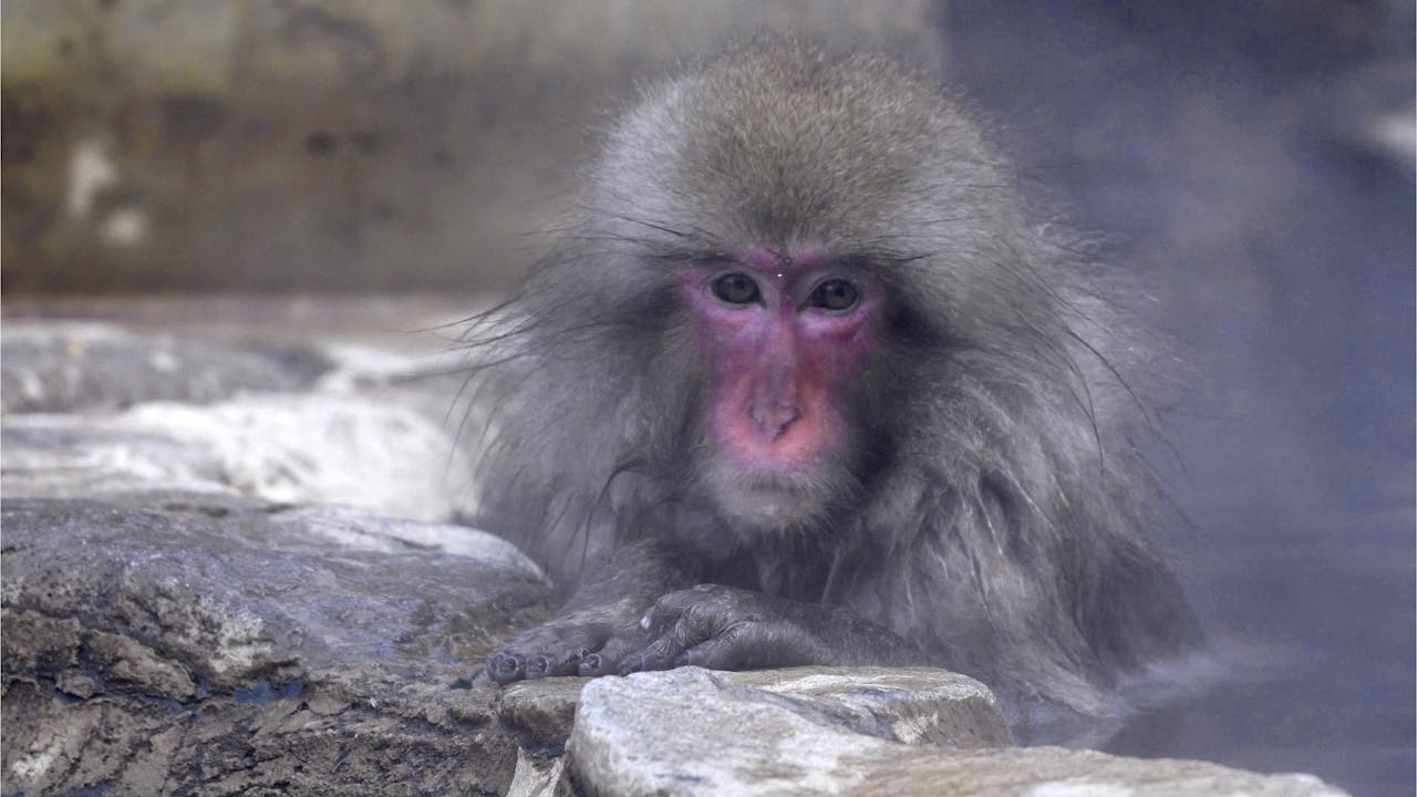 Moving Art Hokkaido Moving Art Season 3 THE LOUIE CHANNEL