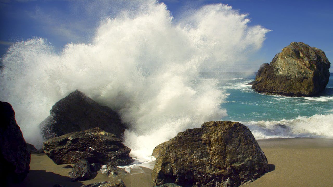 Moving Art Oceans Moving Art Season 1 THE LOUIE CHANNEL