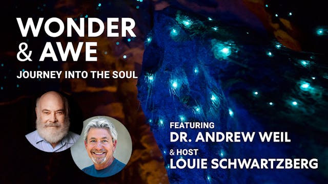 Wonder & Awe: Journey Into The Soul -...