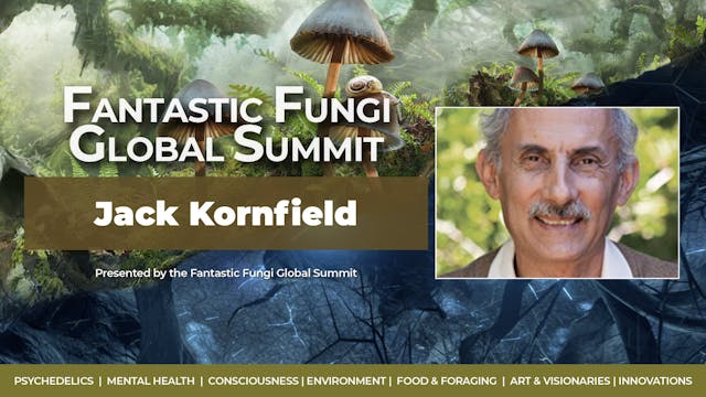 Jack Kornfield - Voices from the Unde...