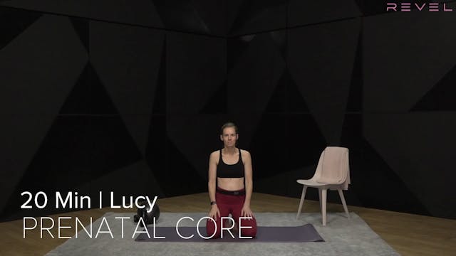 10- PRENATAL CORE WITH LUCY (20 MIN)
