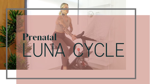 Prenatal LUNA Cycle