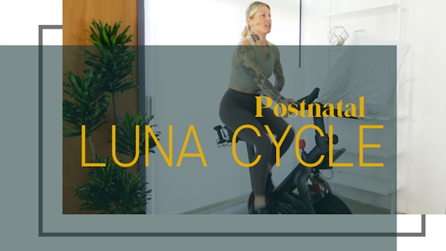 Postnatal LUNA Cycle