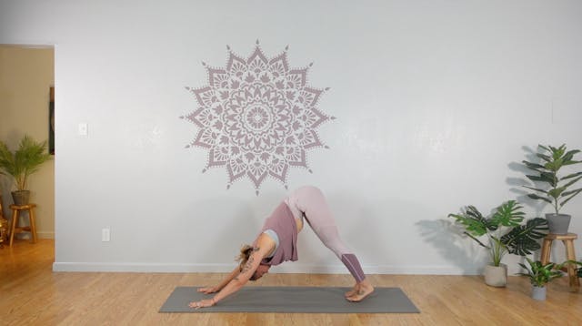 LUNA Yoga Flow 4 (All Levels)