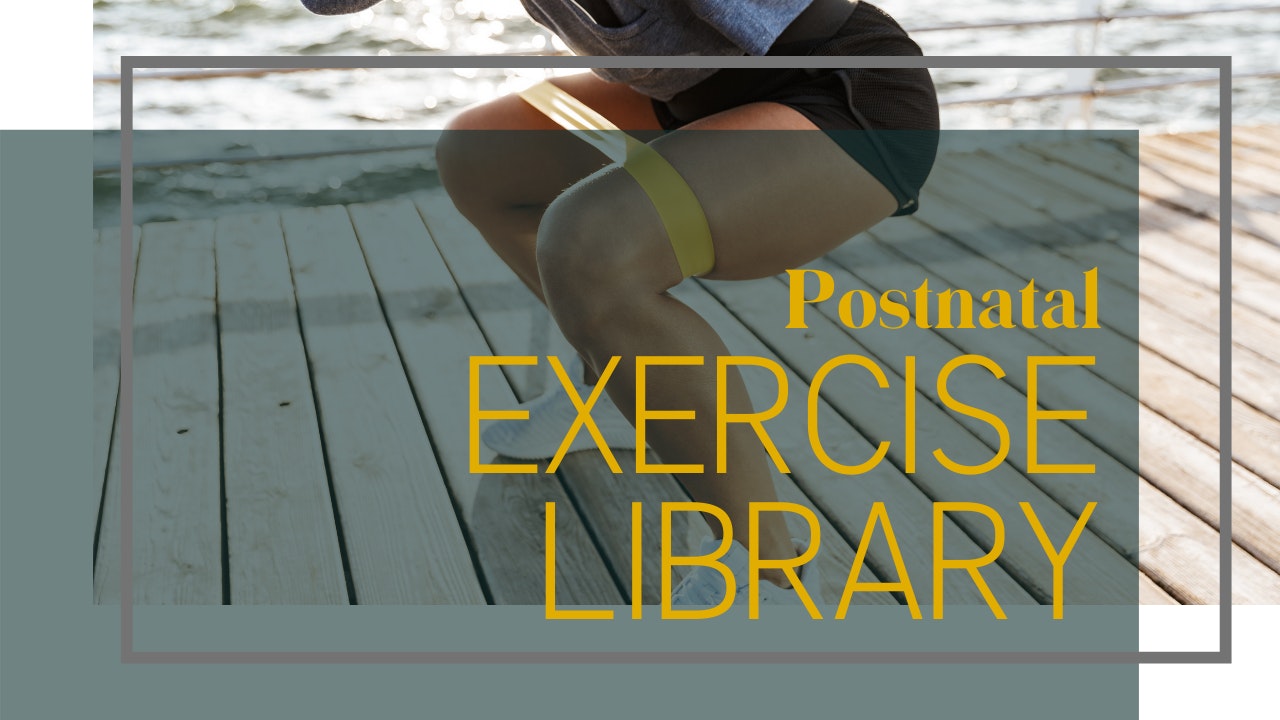Postnatal Exercise Library