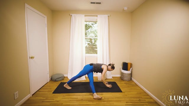 Dynamic Vinyasa