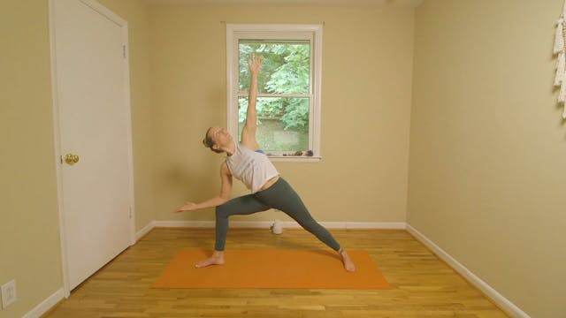 Brief, Mindful Vinyasa