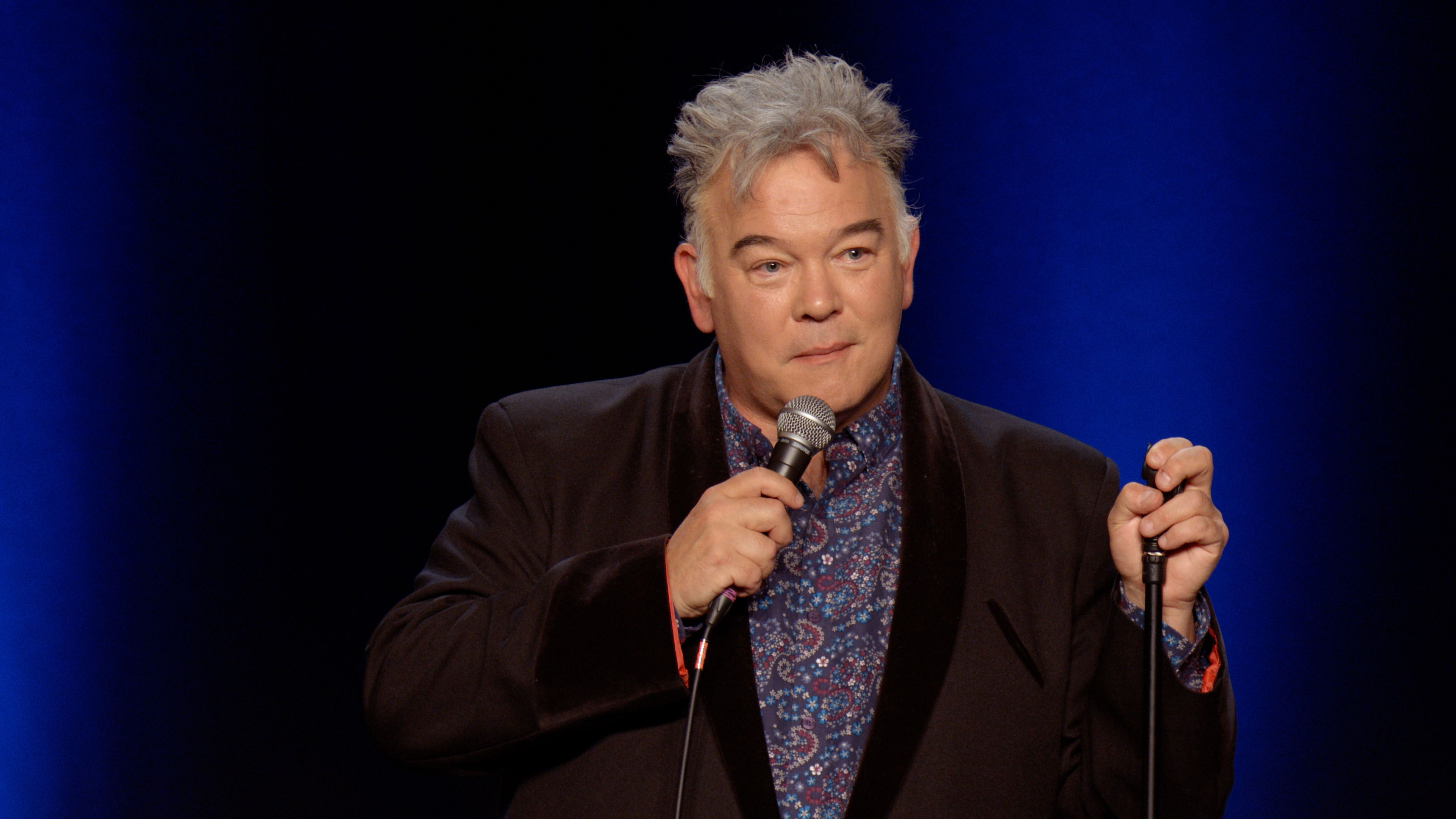 Stewart Lee - Basic Lee