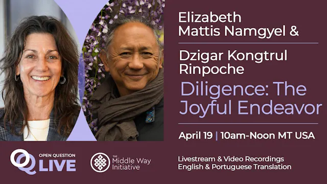 Diligence: The Joyful Endeavor with Elizabeth Mattis Namgyel & Dzigar Kongtrul Rinpoche