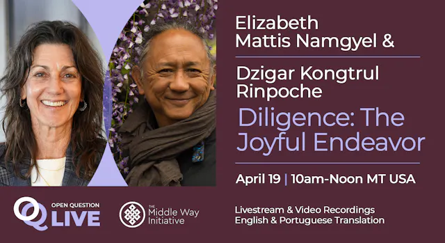 Diligence: The Joyful Endeavor