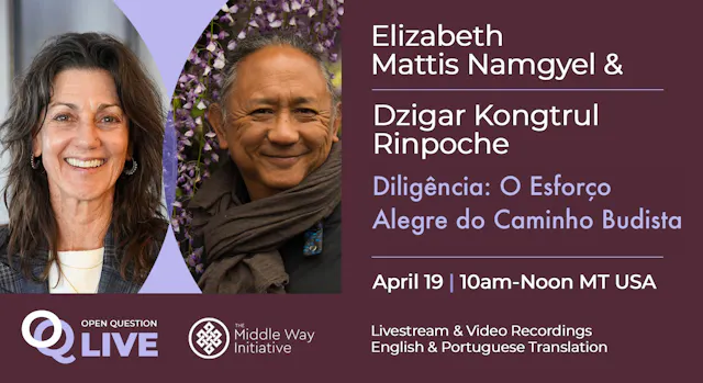 Tradução para o português: Diligence: The Joyful Endeavor with Elizabeth Mattis Namgyel & Dzigar Kongtrul Rinpoche
