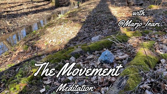 Meditation (All Levels) *15 minutes*