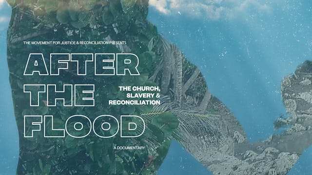 After the Flood (documentary)