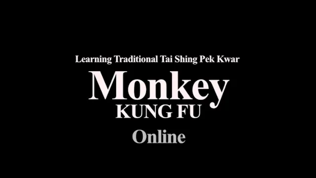 MonkeyKungFu_Volume13a