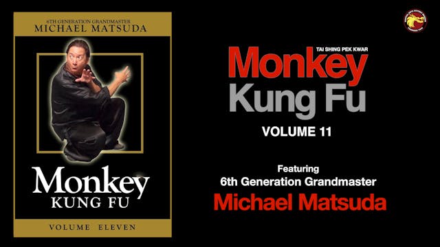 Courses: Monkey Kung Fu Volume 11