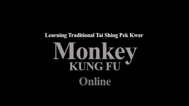 Monkey Kung Fu vol 12 - Wooden_Monkey